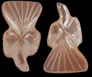 Lavies & Daisy Natewa |Mother of Pearl  |Dove   | Price: $60. +  $8.50  domestic shipping | CLICK  IMAGE for more views & information.