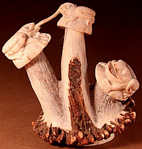 Zuni Spirits is proud to represent a variety of Zuni fetish carvers, including Esteban Najera!
