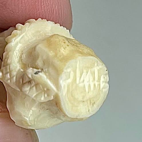 Zuni Spirits is proud to represent a variety of Zuni fetish carvers, including Pernell Laate (d.)!