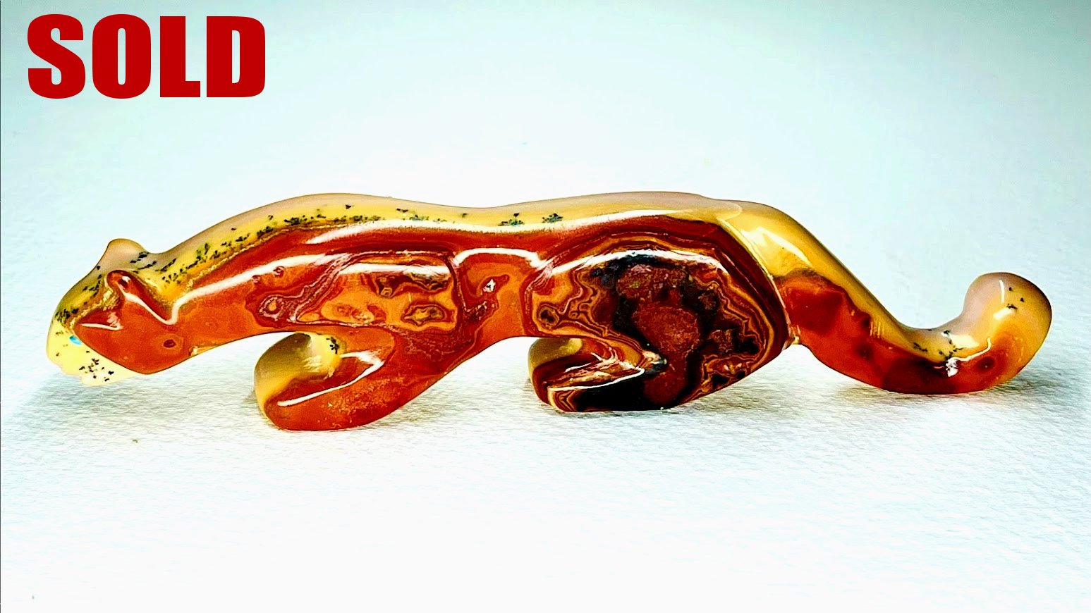 Zuni Spirits is proud to represent a variety of Zuni fetish carvers, including Prudencia Quam!